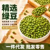 Novos produtos da fazenda: feijão mungo de qualidade selecionada, grãos integrais, fácil de cozinhar e amaciar, adequado para fazer bolos de feijão mungo, sopa de feijão mungo e pasta de feijão. Atacado e varejo