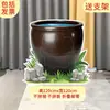 Héroe Lluvia Llega Sima Guang Rompe el Jarrón Atrezo Juego Fondo Tablero KT Guardería Bosque Árbol Grande Actuación Infantil Leide Zhu