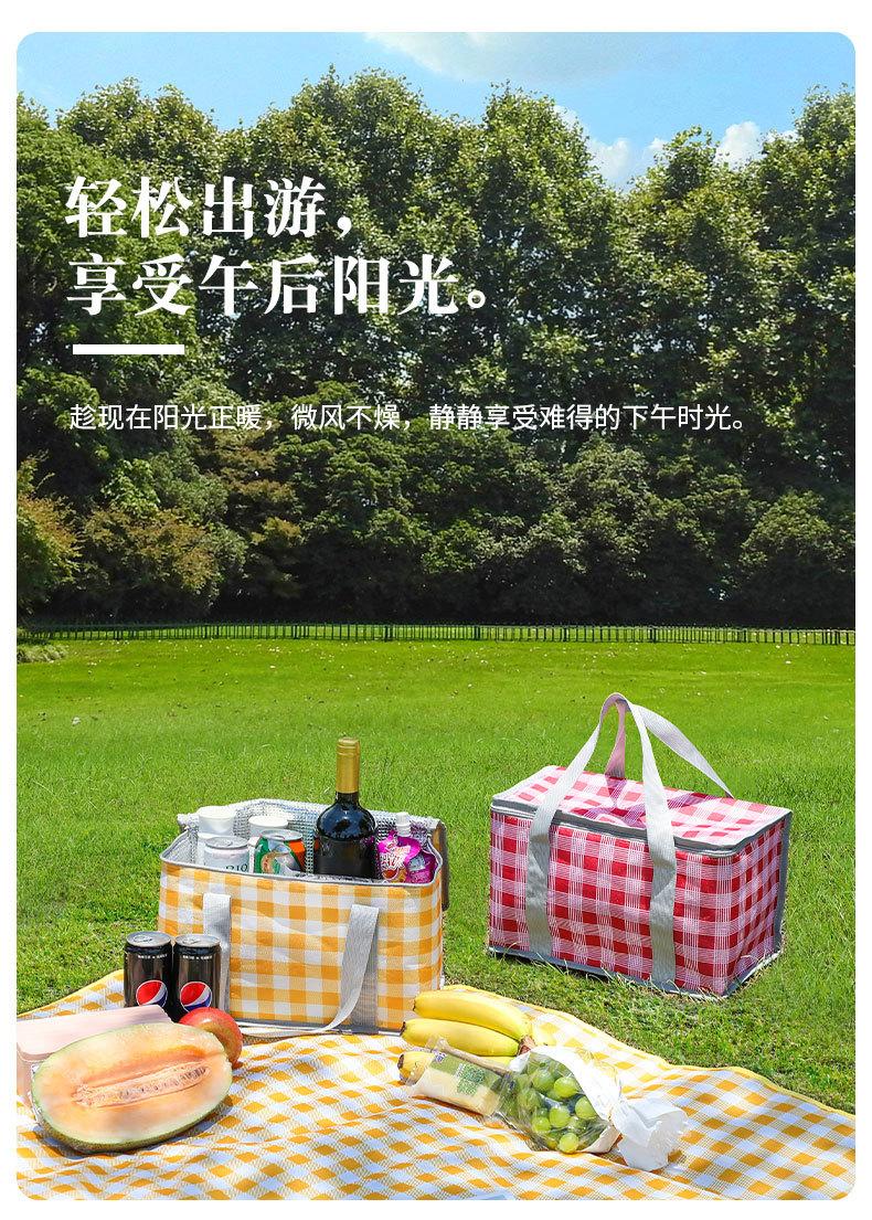 TA36-网红户外野餐包大号_03.jpg