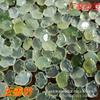 Jade pingente natural jade pingente bebê fechadura atacado diy joias longa vida cem anos de idade boneca pequeno presente presente