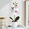 Novo Produto: Bonsai de Orquídea Phalaenopsis Pequena com Três Flores e Uma Fruta, Bonsai de Flores Artificiais para Sala de Estar, Gabinete de TV, Decoração de Interiores Elegante para Casa