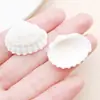 Furo Reto Marrom Branco Natural Concha Areia Arroz Caracol Contas Espaçadoras Pingente de Concha do Mar DIY Pulseira Colar Acessórios de Joias