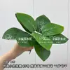 Flor de Simulación Lirio Bambú 3 Ramas Lirio Bambú Simulación Planta Verde Decoración Boda Hotel Hogar Suave Lirio Bambú Phnom Penh