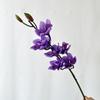 Transfronteiriço novo produto simulação cymbidium arranjo de flores de casamento acessórios materiais de decoração fotografia paisagismo flor artificial falsa fabricantes atacado