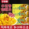 Huayin Chun Bloco de Curry Curry Tailandês Uso Doméstico Japonês Crianças Sabor Original Carne Frango Pacote de Cozimento Material Base Molho de Curry