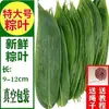 Folhas Frescas de Zongzi Folhas Grandes de Zongzi para Envolver Zongzi Selvagens Naturais Uso Doméstico Folhas de Zongzi Embaladas a Vácuo Folhas de Bambu Atacado