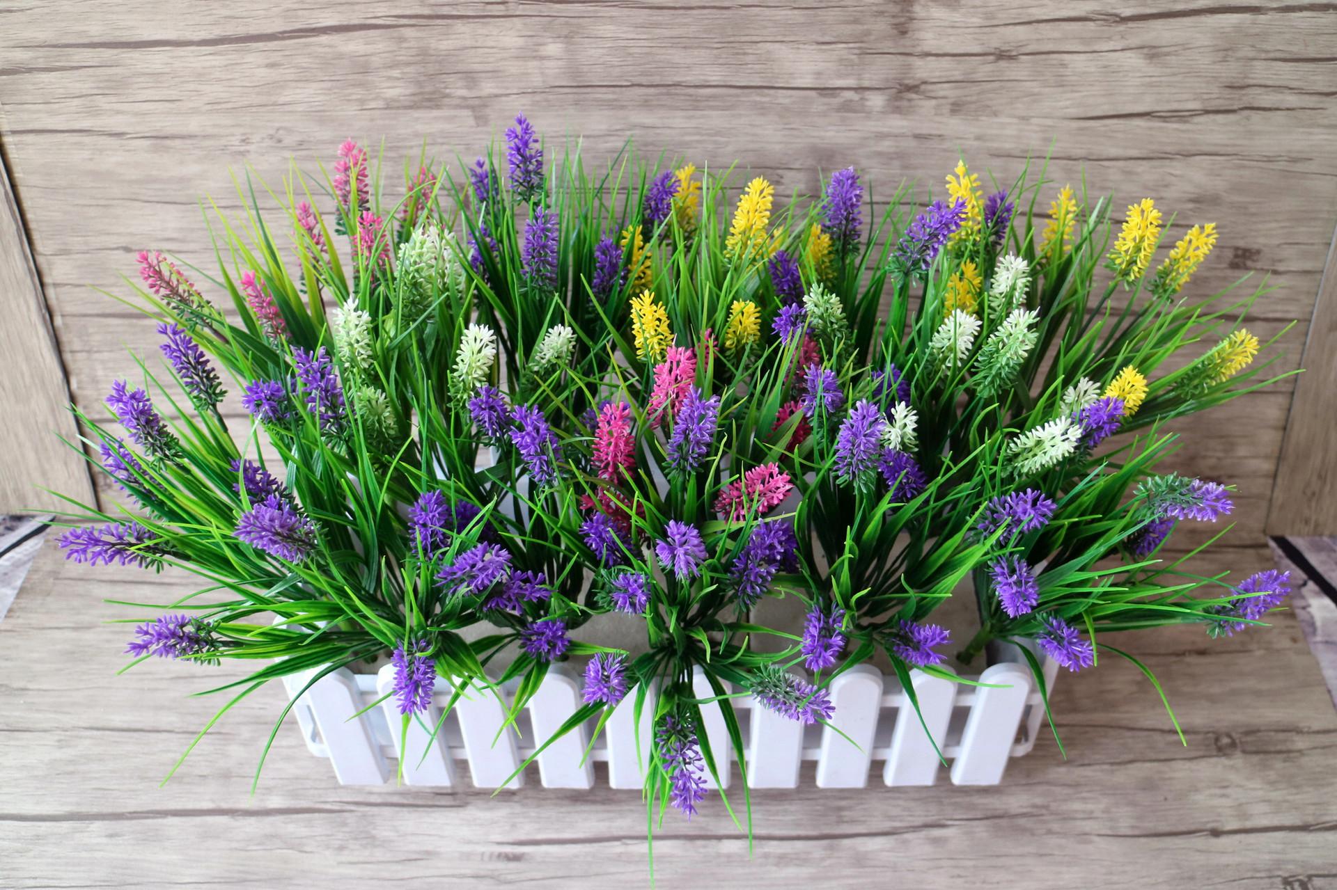 IMG_4146_副本.jpg