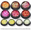 Explosões transfronteiriças lantejoulas ultrafinas nail art joias 3+4+6mm Magic Hollow estrela de cinco pontas Glitter pó glitter pó acessórios