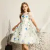 Vestido de Princesa Infantil Transfronteiriço Europeu e Americano Manga Bufante Estampado para Performance de Piano Menina Saia Fofa Daminha Vestido de Casamento