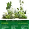 Série Paisagem de Expressão Idiomática de Quatro CaracteresCombinação de Plantas Verdes Artificiais para Paisagismo Decoração de Vitrine Interna