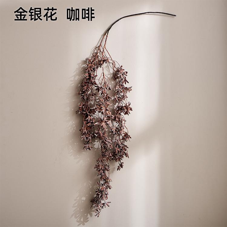 金银花  咖啡