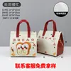 Bolsa Isotérmica Desechable Comercial de Papel de Aluminio, Textura de Papel Dupont, Bolso Tote de Tela No Tejida de Moda para Entrega, Engrosada para Empaque para Llevar