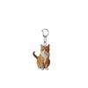 Chaveiro de gato fofo, fivela acrílica em forma de D, pingente de impressão dupla face plana 2D