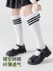 Calcetines para Niñas, Estilo Delgado de Verano, Calcetines Largos Infantiles, Calcetines hasta la Pantorrilla, Calcetines de Princesa, Calcetines de Malla de Verano, Calcetines Blancos de Estudiante, Tres Pares