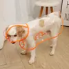 Impermeable para Mascotas para Todas las Razas de Perros, Capa Impermeable Transparente, Anti-Humedad, Perros Pequeños, Medianos y Grandes para Salir, Venta Directa de Fábrica y Venta al por Mayor