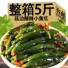 Especialidad del Noreste Pepinillos Fermentados Estilo Coreano Yanbian Ácidos y Picantes, Pepinillos en Escabeche con Salsa, Guarnición para Comidas, Kimchi Estilo Coreano Empaquetado