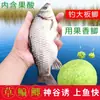 Isca Personalizada para Carpa Crucian para Pesca Selvagem, Special Loose Cannon para Carpas e Carpas Crucian, Isca Pop-Up Universal para Carpa Capim, Pesca