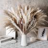 Amazon Transfronterizo Flores Secas Pampas Bohemio Decorativo Caña DIY Hierba Cola de Conejo Ramo de Flores Secas Mixtas