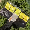 26 modelos de otoño e invierno al por mayor: Calcetines deportivos de algodón de media pantorrilla para otoño e invierno, calcetines versátiles para hombres y mujeres