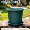 Maceta de control de raíces Qingshan de tercera generación para jardinería, cultivo de flores y cría de plántulas, engrosada, transpirable y permeable al agua, adecuada para esquejes de rosa y clemátide, maceta de plástico