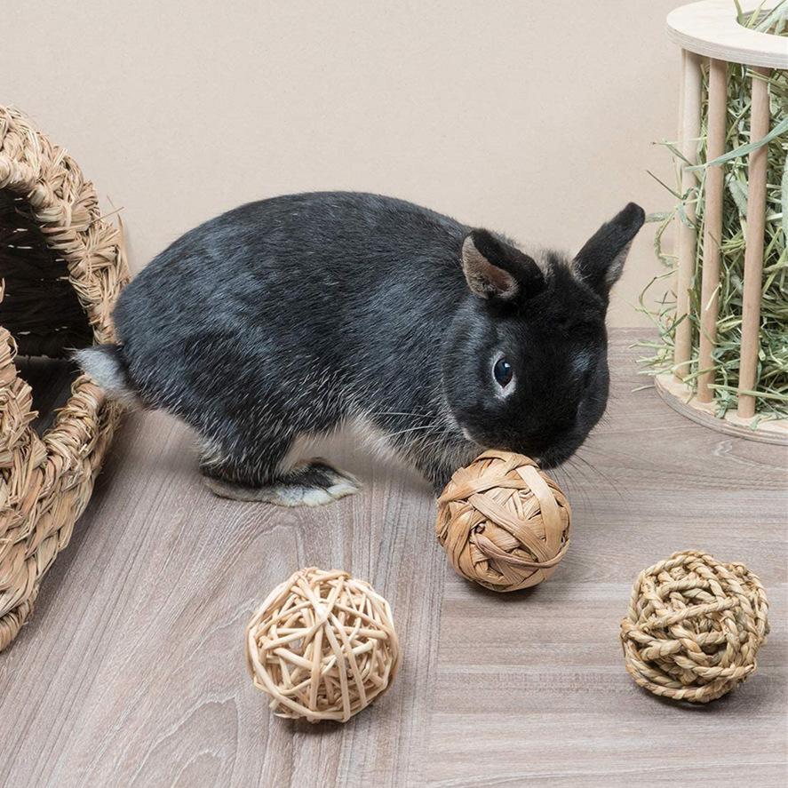 81Pdhf9NrML._AC_SL1300_