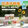 Mini Plantas de Jardín Lindas para Niños en Macetas de Taza de Té con Leche, Semillas para Plantar, Pequeños Regalos para Jardín de Infancia