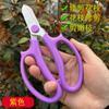 Fabricante Venta al por Mayor Tijeras Florales, Tijeras para Arreglos Florales, Tijeras de Podar, Tijeras para Ramas de Flores, Tijeras de Podar, Tijeras de Entrenamiento para Floristas para Flores