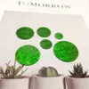 Nuezas Piezas Redondas Coloridas de Imitación de Concha Acrílica Adornos Colgantes para Carrillones de Viento Materiales Hechos a Mano para Ropa Accesorios para Joyería DIY
