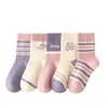 Calcetines Lindos Sin Costuras para Niña Pequeña Otoño e Invierno Clase A Calcetines para Niños Calcetines Versátiles para Bebés Niñas Calcetines de Caña Media Nuevos para Niños Otoño e Invierno