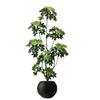 Simulación Planta Verde Pata de Pato Madera Lujo Ligero de Alta Gama Interior Sala de Estar Planta Verde Artificial en Maceta Planta Biónica Adornos Decorativos de Piso