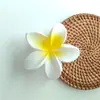Europa y Estados Unidos transfronterizo clip para el pelo de flor de huevo colorido clip de flor clip de tiburón de dama elegante accesorios para el pelo de vacaciones en la playa en stock
