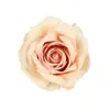 Rosa Vermelha Flor Artificial Cabeças de Flor Mini Cerimônia de Casamento Decoração de Casamento Decoração de Carro de Casamento Flor de Seda Artificial Lapela Fabricante Atacado