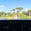 Lindo Mo, pequeño animal enojado, adornos para coche, texto de bendición, consola central del coche, pantalla de navegación, decoración