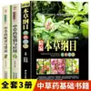 Guia Prático Ilustrado para Identificação e Aplicação de Medicina Herbal Chinesa: Referência Rápida para Combinações de Uso Comum e Aplicações de Identificação