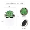 Más de 100 Tipos de Combinaciones de Plantas Suculentas Mini de Plástico Simuladas en Maceta, Mini Bonsáis Suculentos Más Vendidos Transfronterizos, Decoración para el Hogar, Adornos Creativos
