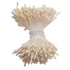 Transfronterizo 2 mm Aproximadamente 400 Piezas 170 Centros de Flor Mate Núcleo de Flor Flor Artificial Estambres de Yeso Rosa Lirio Materiales
