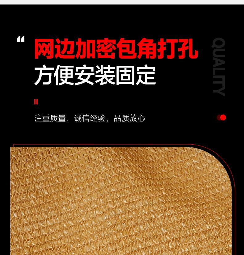 详情_11