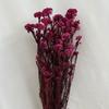 Flores de Milho Eternas, Flores de Arroz Australianas, Cabeças de Flores Especiais para Copo de Vidro, Materiais Florais Artesanais DIY, Flores Secas de Yunnan, Atacado