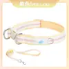 Collar y Correa para Perro de Mascota Transfronterizo, Placa de Identificación Anti-Pérdida Grabada, Collar para Golden Retrievers, Perros Medianos y Grandes, Shiba Inu, Perros Pequeños