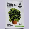 Plántulas de Tomate Cherry Cuatro Estaciones Tomates Grandes Tomates Pequeños Verduras en Maceta Semillas de Tomate Cherry Multitemporada Venta Caliente