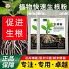 Polvo de Enraizamiento Rápido para Verduras, Frutas y Flores, Agente Universal de Enraizamiento y Fortalecimiento de Plántulas para Esquejes, Trasplantes, Hidroponía, Poderoso Agente de Enraizamiento