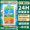 Harina Refinada Chuangxing Xinjiang Qitai 25 kg Harina de Trigo Directa del Fabricante para Uso Doméstico, Harina de Propósito General, Harina para Catering