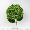 Flores de Hortensia Artificiales Estilo Nuevo para Decoraciones de Pared de Moda, Flores Secas para Arreglos de Pasillo de Boda, Accesorios para Fotografía al Aire Libre al por Mayor