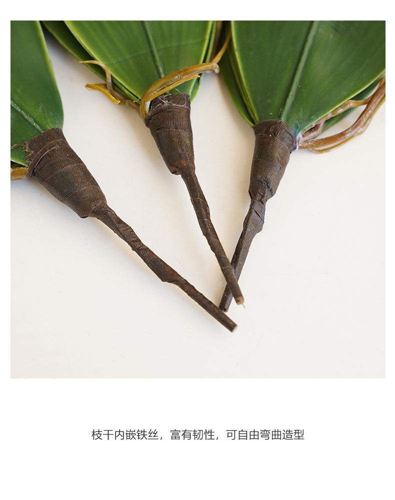 五片兰花叶_11.jpg