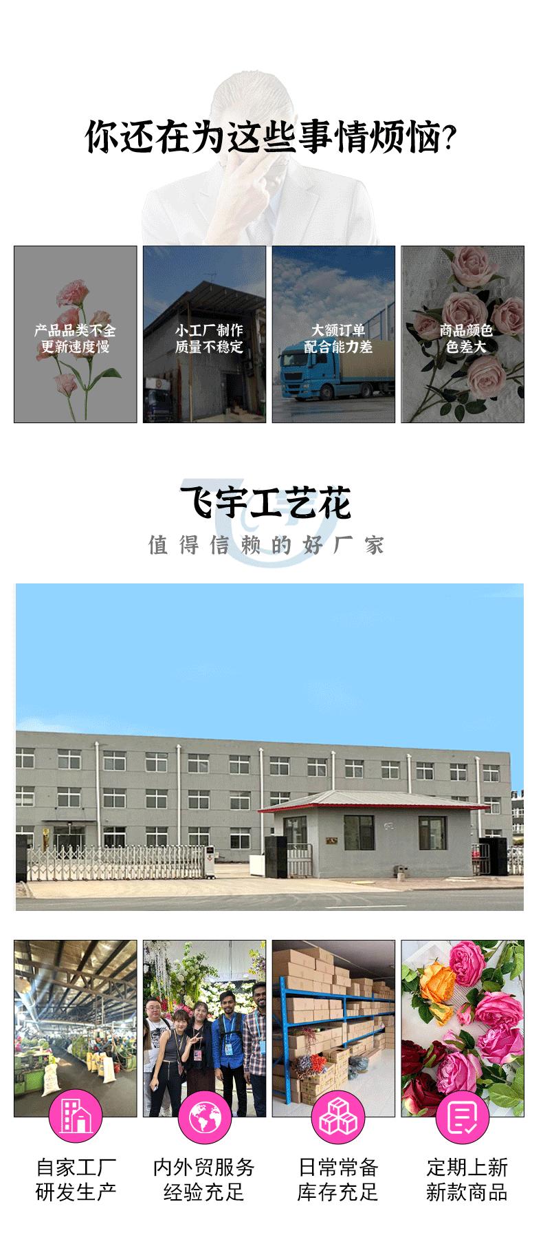 飞宇详情页_07