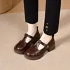 Zapatos Mary Jane de punta redonda para mujer, otoño 2026, diseño calado con hebilla de tira en T, tacón grueso, zapatos de cuero para mujer estilo universitario vintage