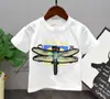 Camiseta de Mariposa Bicolor Personalizada para Niños Nueva de Verano 2019 C78037 C12120 C12181