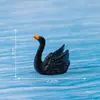 Paisaje en miniatura con adorables figuras de cisnes azules, rosas y negros, perfecto para jardinería, paisajismo, decoraciones DIY, accesorios colgantes y pequeños adornos para terrarios