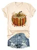 Amazon eBay Tienda Independiente Cómoda Casual Europea y Americana para Mujer Calabaza, Hongo, Hoja de Arce, Avellana, Camiseta de Algodón Colorida