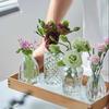 Vaso de Vidro Retrô Francês Transparente para Cultivo em Água Decoração de Mesa para Casa Artesanato Ornamentos Mini Vaso